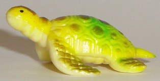 Bastardschildkr�te